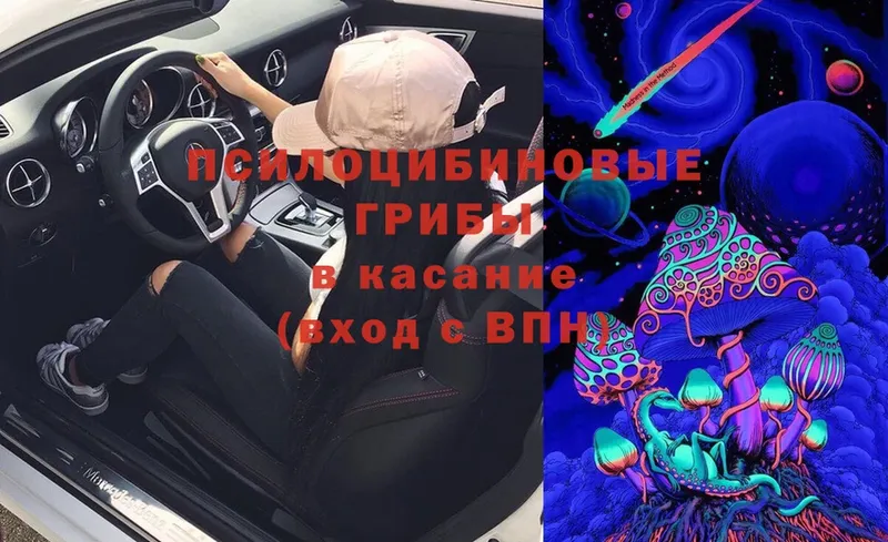 OMG ТОР  Элиста  Галлюциногенные грибы прущие грибы 